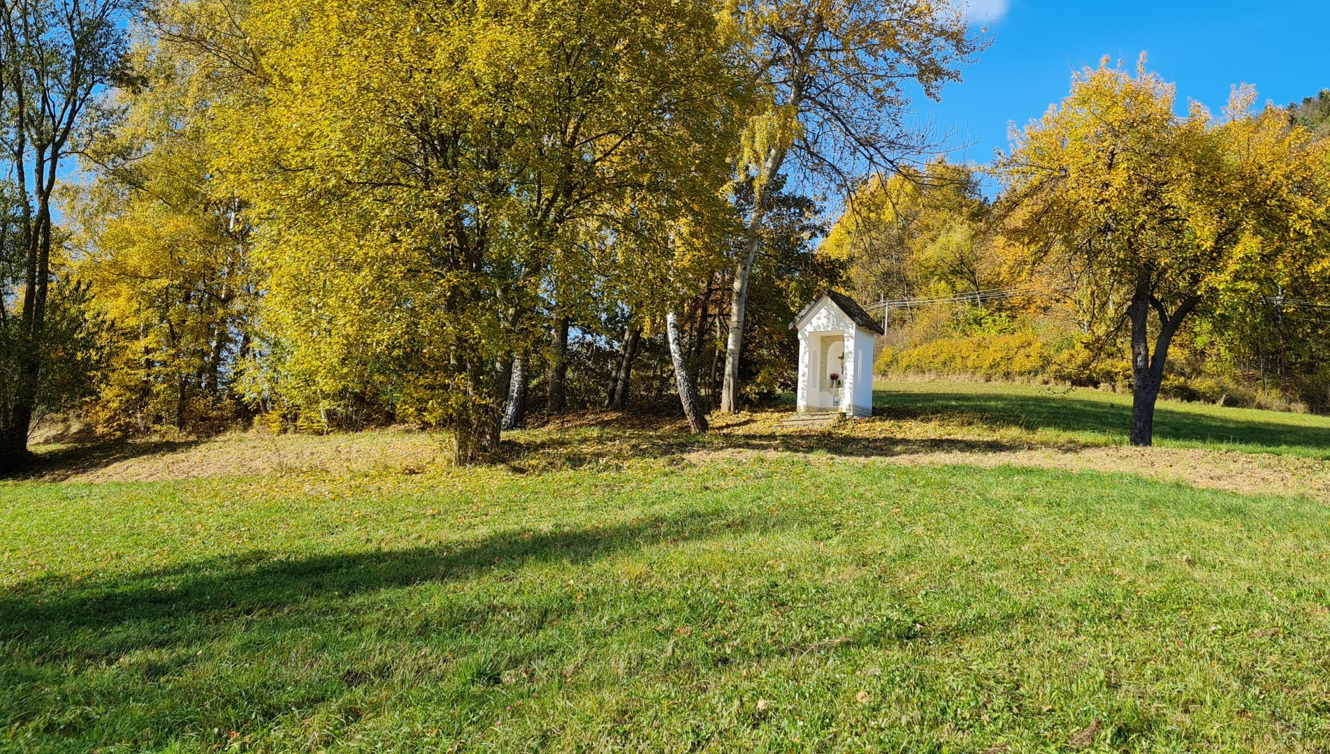 Měnič obrázků - fotografie