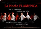 La Noche Flamenca