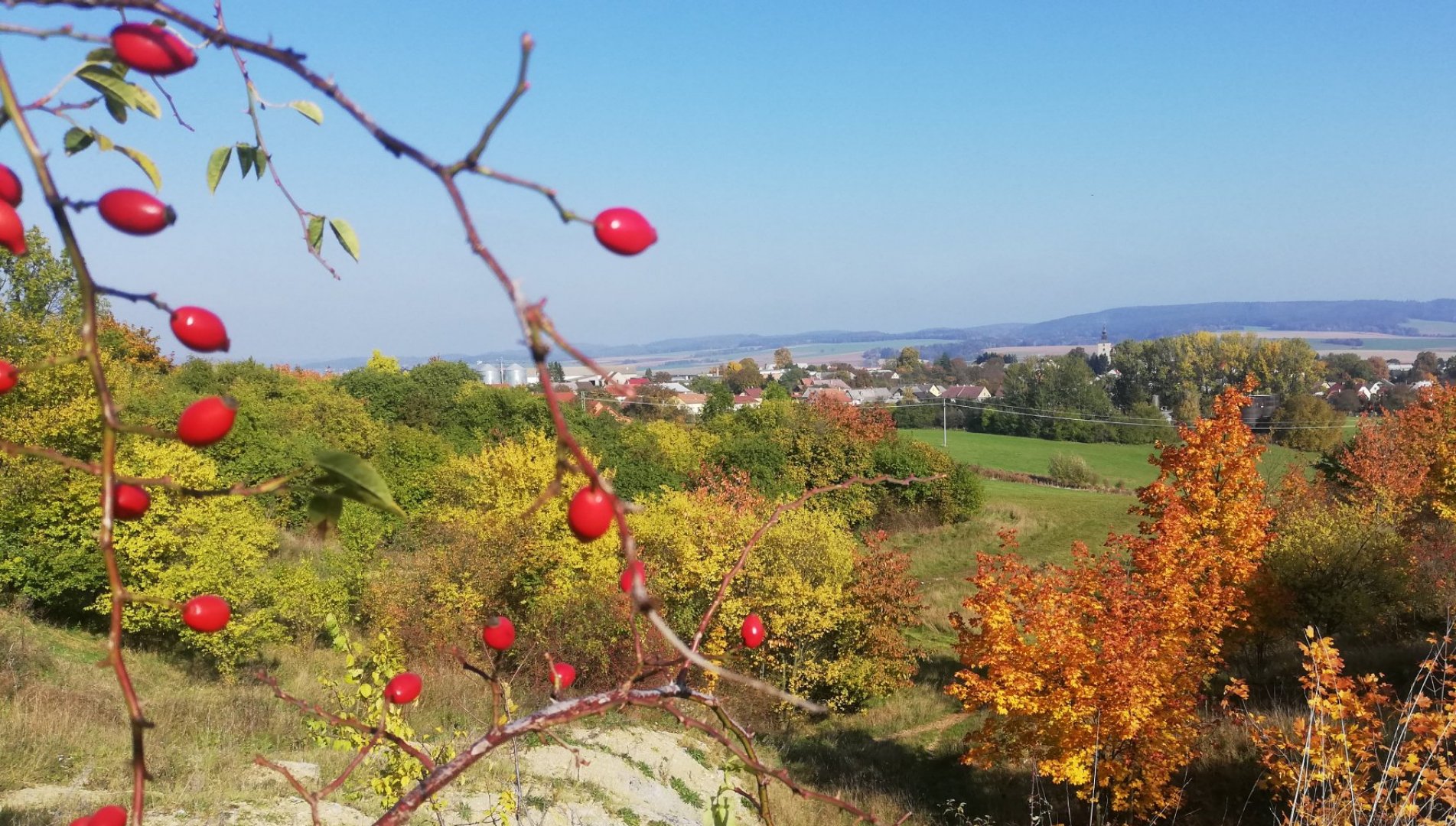 Měnič obrázků - fotografie