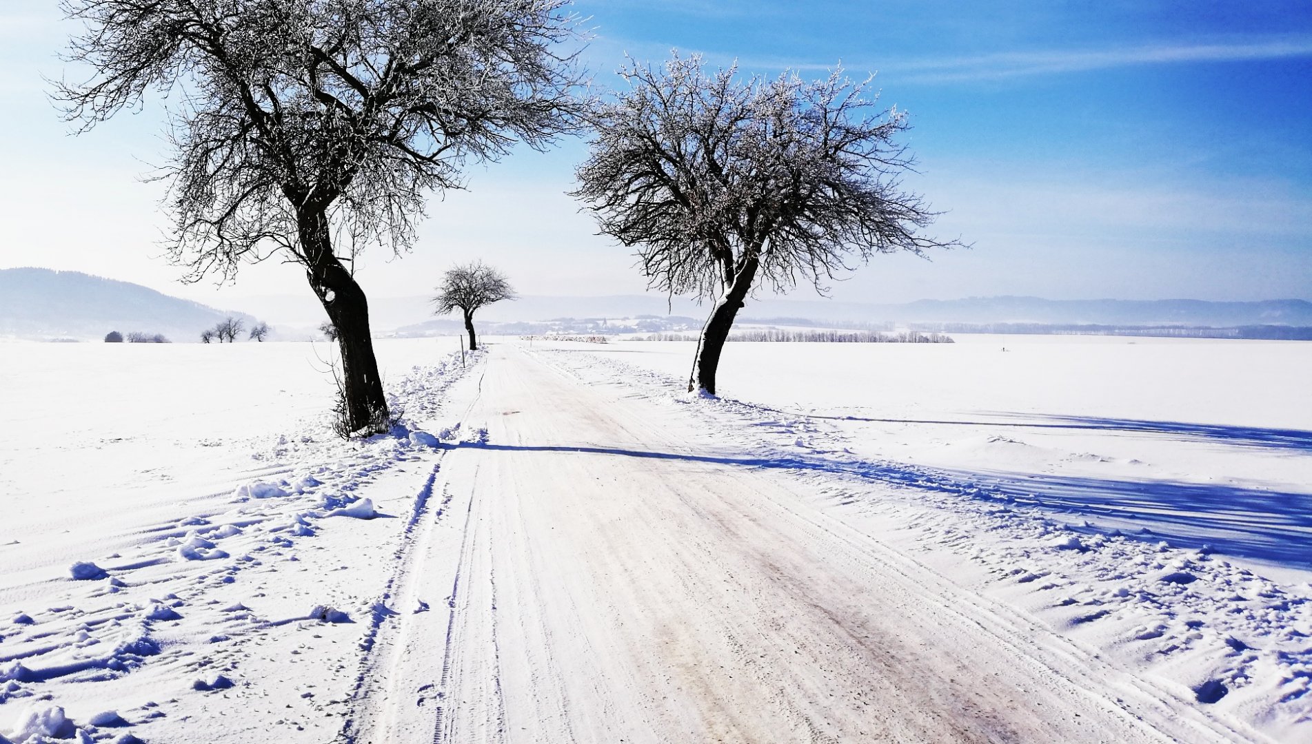 Měnič obrázků - fotografie