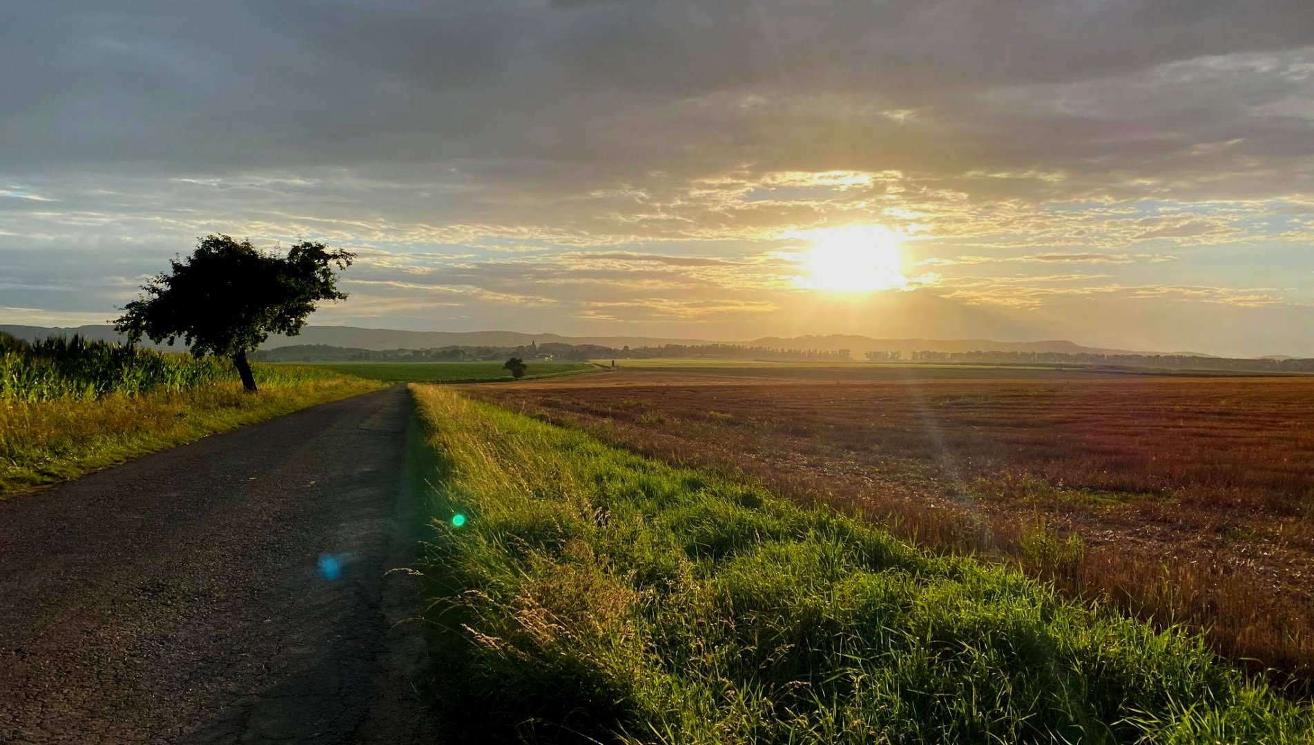 Měnič obrázků - fotografie