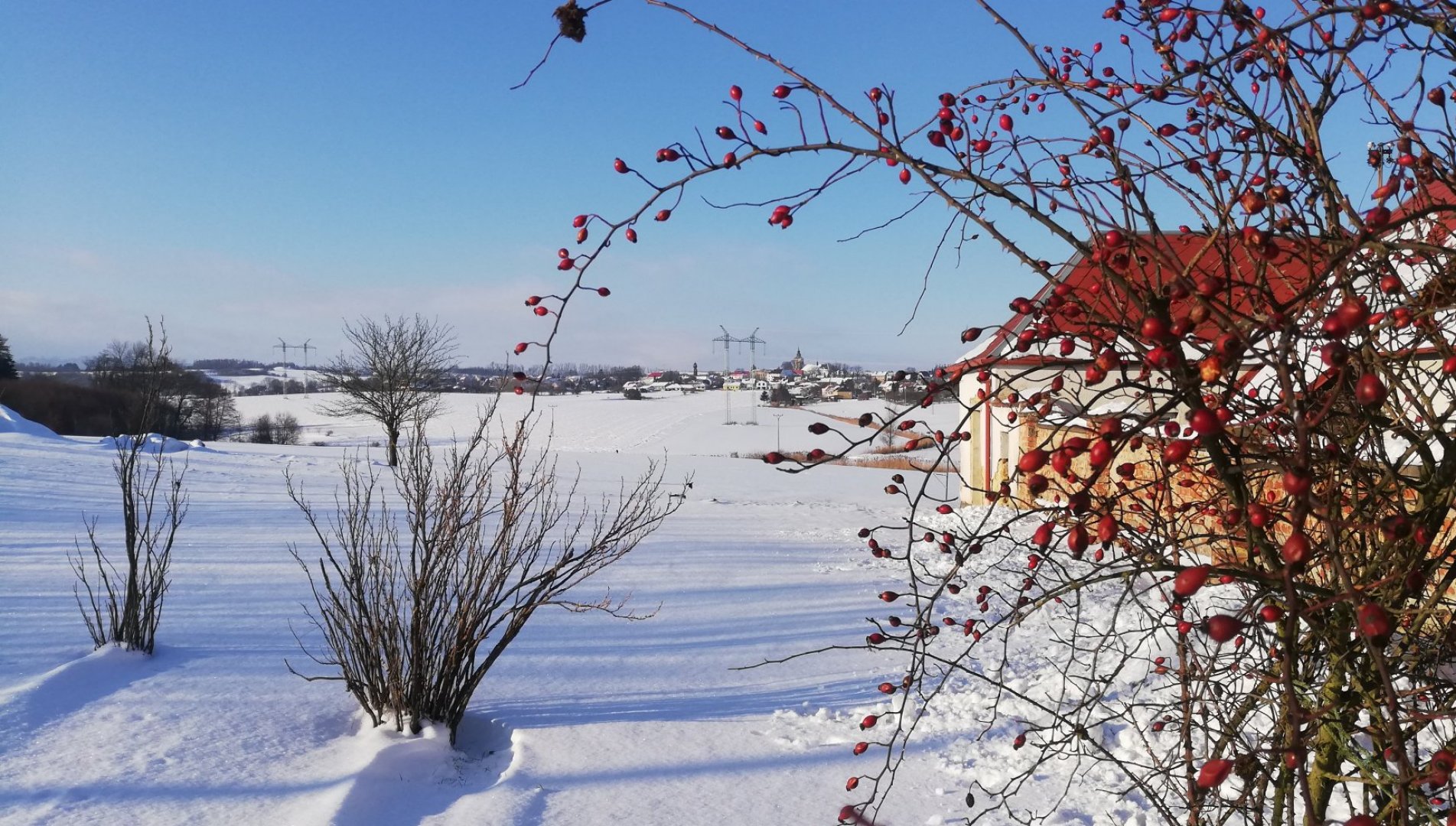 Měnič obrázků - fotografie