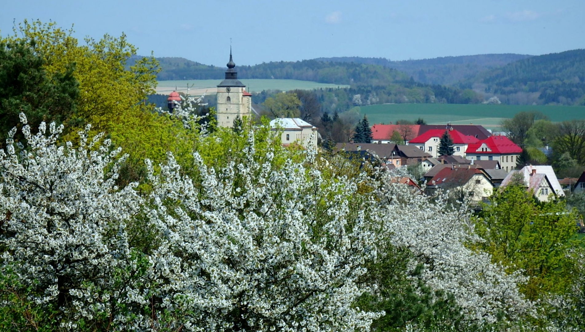 Měnič obrázků - fotografie