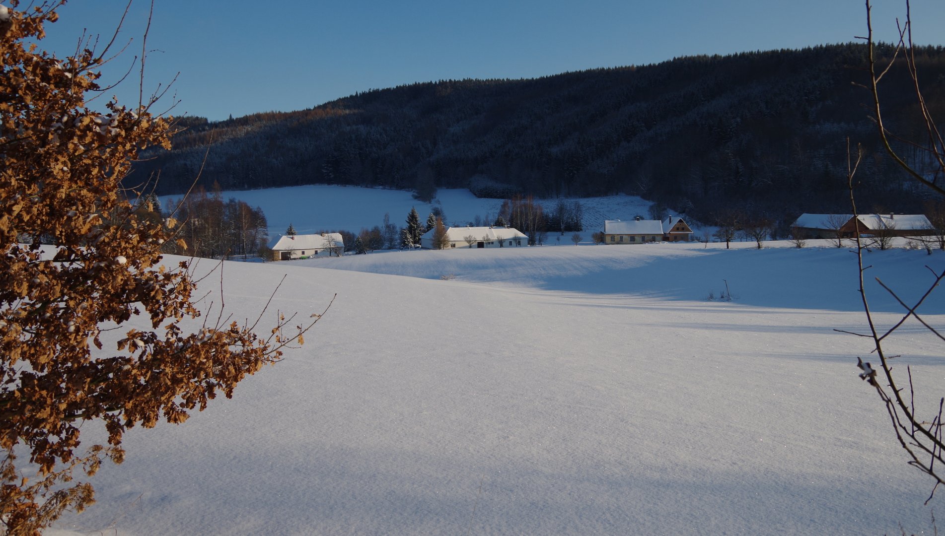 Měnič obrázků - fotografie
